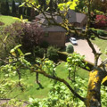 image01